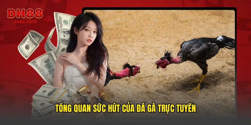 Tổng quan sức hút của đá gà trực tuyến